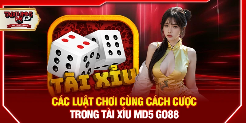 Các luật chơi cùng cách cược trong tài xỉu MD5 Go88