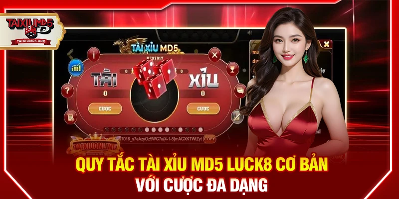 Quy tắc tài xỉu MD5 Luck8 cơ bản với cược đa dạng
